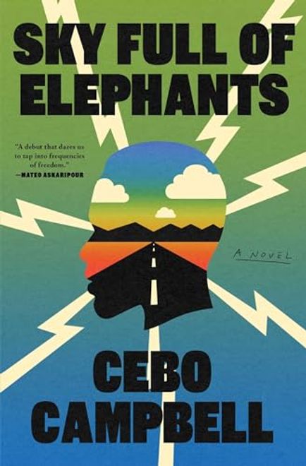 portada Sky Full of Elephants: A Novel