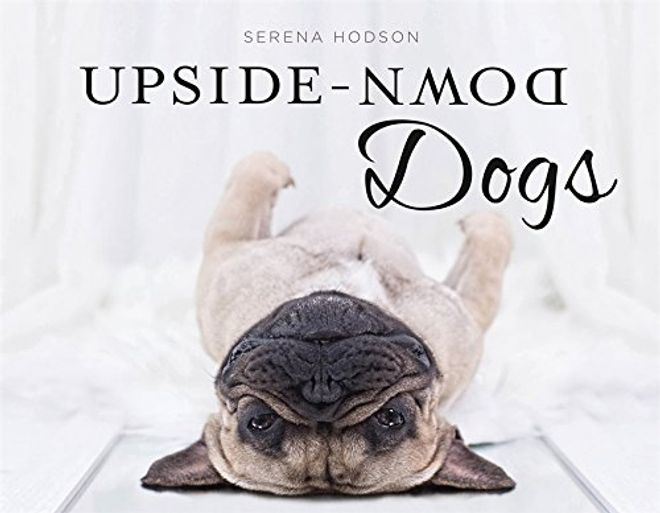 Upside-Down Dogs portada Upside-Down Dogs